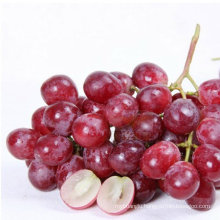 Dunhuang fresh red globe grapes high quality red globe grape strong quality red grapes for sale